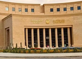 المركزى يستضيف برنامجًا تدريبيًا حول اختبارات الضغوط الجزئية والكلية للبنوك المركزية بدول الكوميسا 1 البنك المركزي المصري