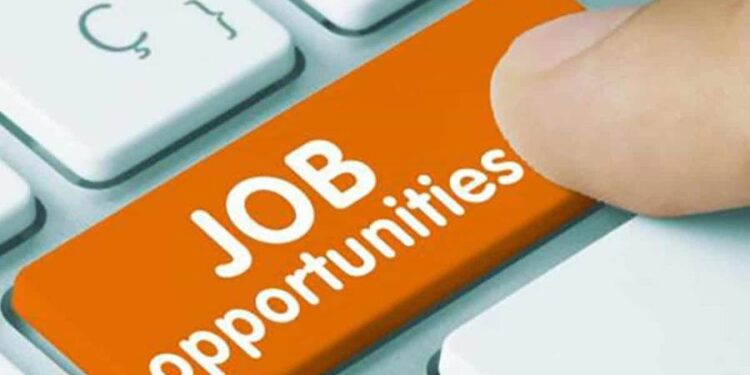 فرص عمل مميزة في البنك الزراعي المصري.. “التفاصيل وطريقة التقديم”