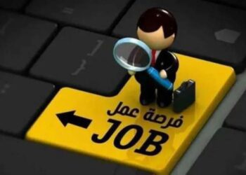 المؤهلات والخبرات المطلوبة للحصول على وظيفة في بنك أبو ظبي الإسلامي