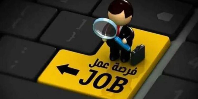 المؤهلات والخبرات المطلوبة للحصول على وظيفة في بنك أبو ظبي الإسلامي