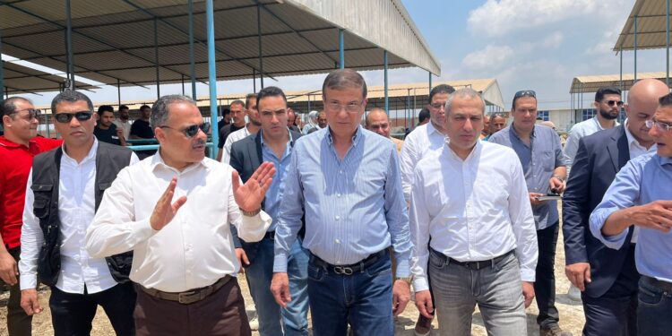 البنك الزراعي المصري يمول شراء 2000 رأس ماشية بقيمة 395 مليون جنيه لصالح 188 من صغار المربين بالشرقية