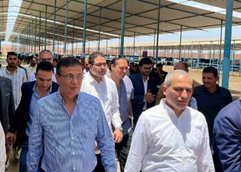 وزير الزراعة ومحافظ الشرقية ورئيس البنك الزراعي يتابعون أعمال تسليم القمح في شون البنك بالشرقية