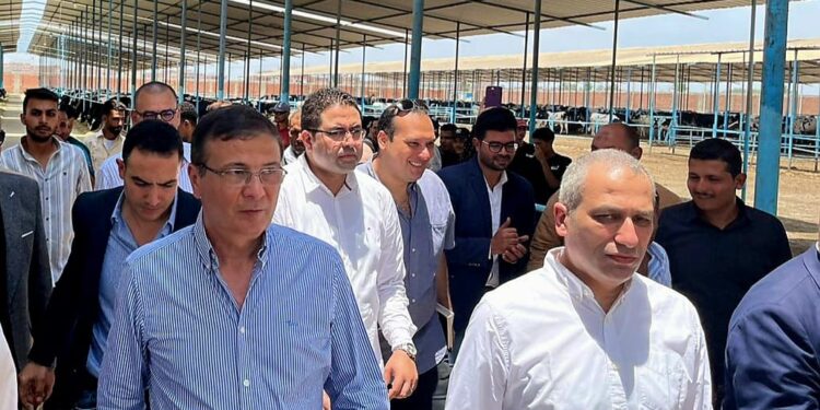 وزير الزراعة ومحافظ الشرقية ورئيس البنك الزراعي يتابعون أعمال تسليم القمح في شون البنك بالشرقية